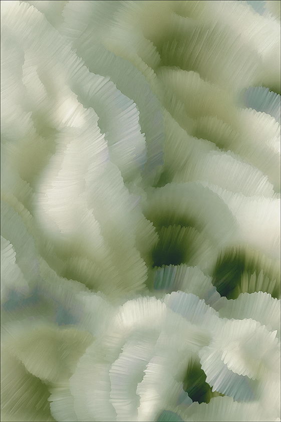 Moooi Carpets Flitter Flutter Adonis