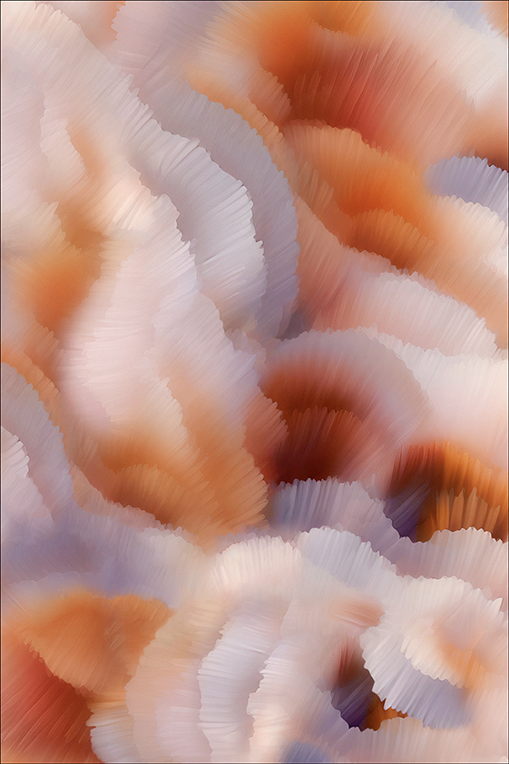 Moooi Carpets Flitter Flutter Monarch