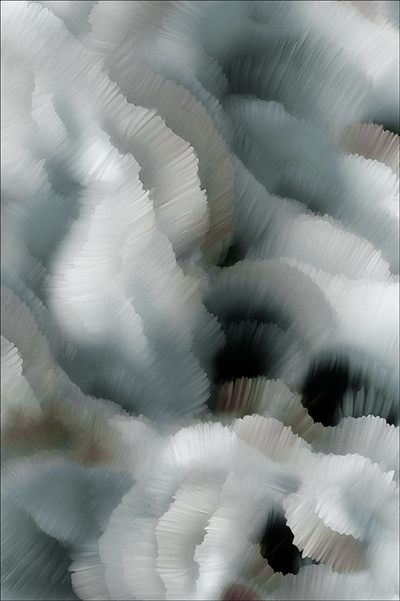 Moooi Carpets Flitter Flutter Zarruco