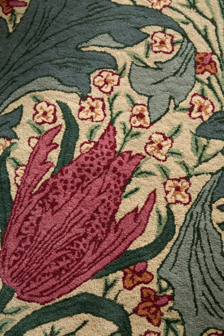 Morris & Co Lent Lily Plum Bayleaf rug in cream with plum tulips and bay green leaves, shown in an interior, third view
