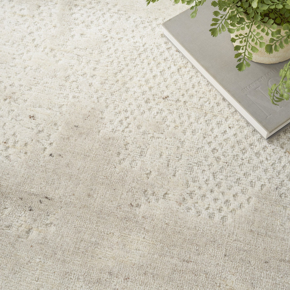 Nourison Harmony HAY07 Ivory rug, close up
