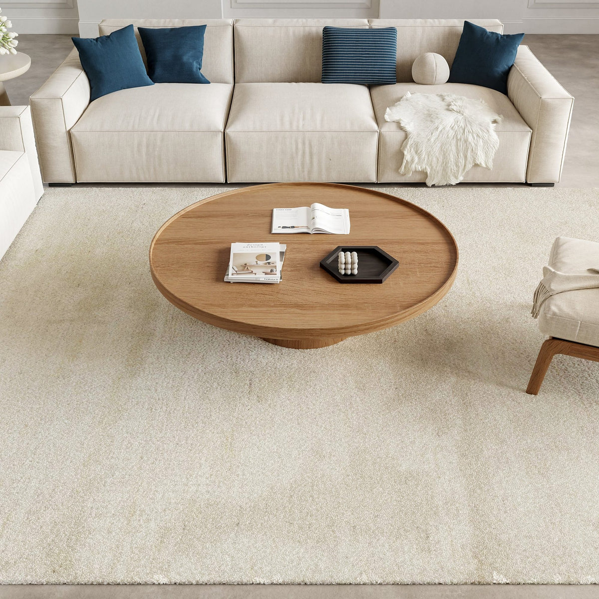 Nourison Harmony HAY07 Ivory rug, in a living room