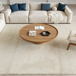 Nourison Harmony HAY07 Ivory rug, in a living room