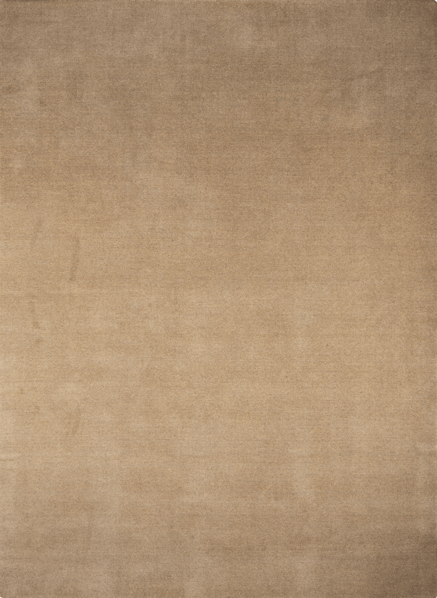 Massimo Earth Natural Light Beige wool rug, top view
